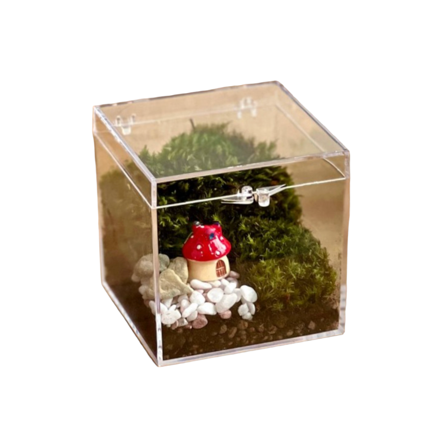 Box Ornamental Moss Closed Terrarium