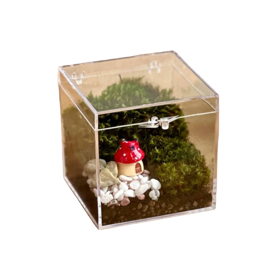 [Mother's Day Special] Box Ornamental Moss Closed Terrarium