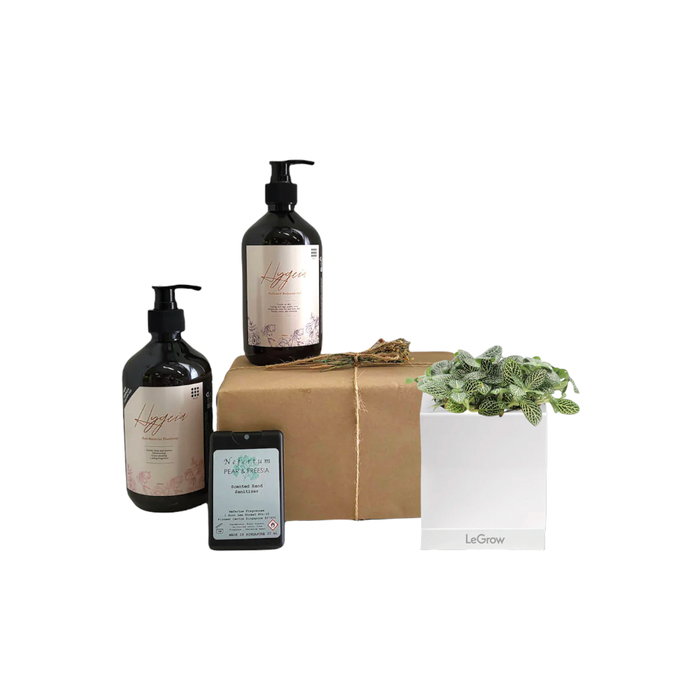 Fittonia with Personal Care Gift Set