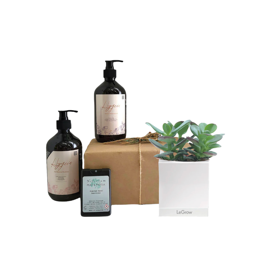 Jade Plant with Personal Care Gift Set