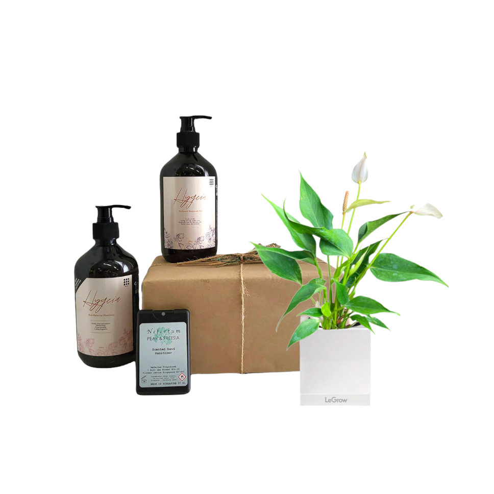Mini Anthurium Light Pink with Personal Care Gift Set