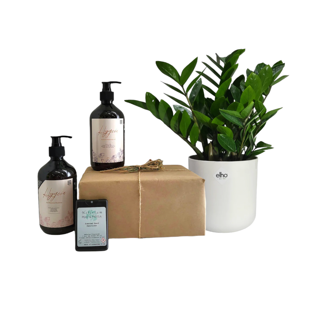 ZZ Plant with Personal Care Gift Set