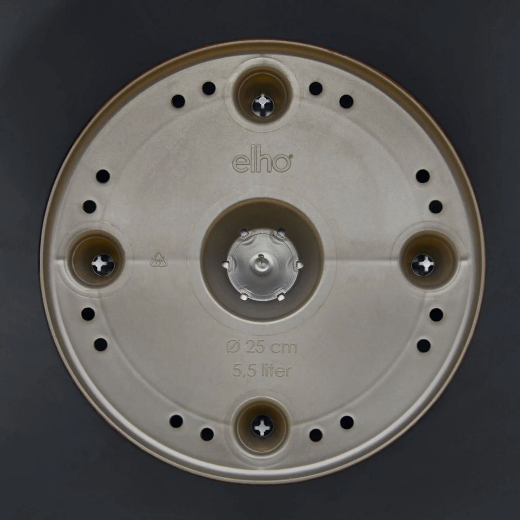 Osmanthus fragrans in Anthracite Loft Urban Round with saucer (0.4m)