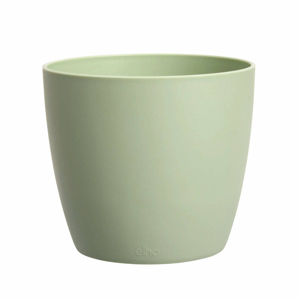 Brussels Round 16cm in Sorbet Green
