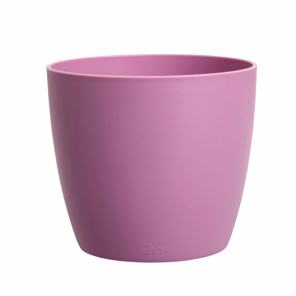 Brussels Round Mini 12.5cm in Vivid Violet