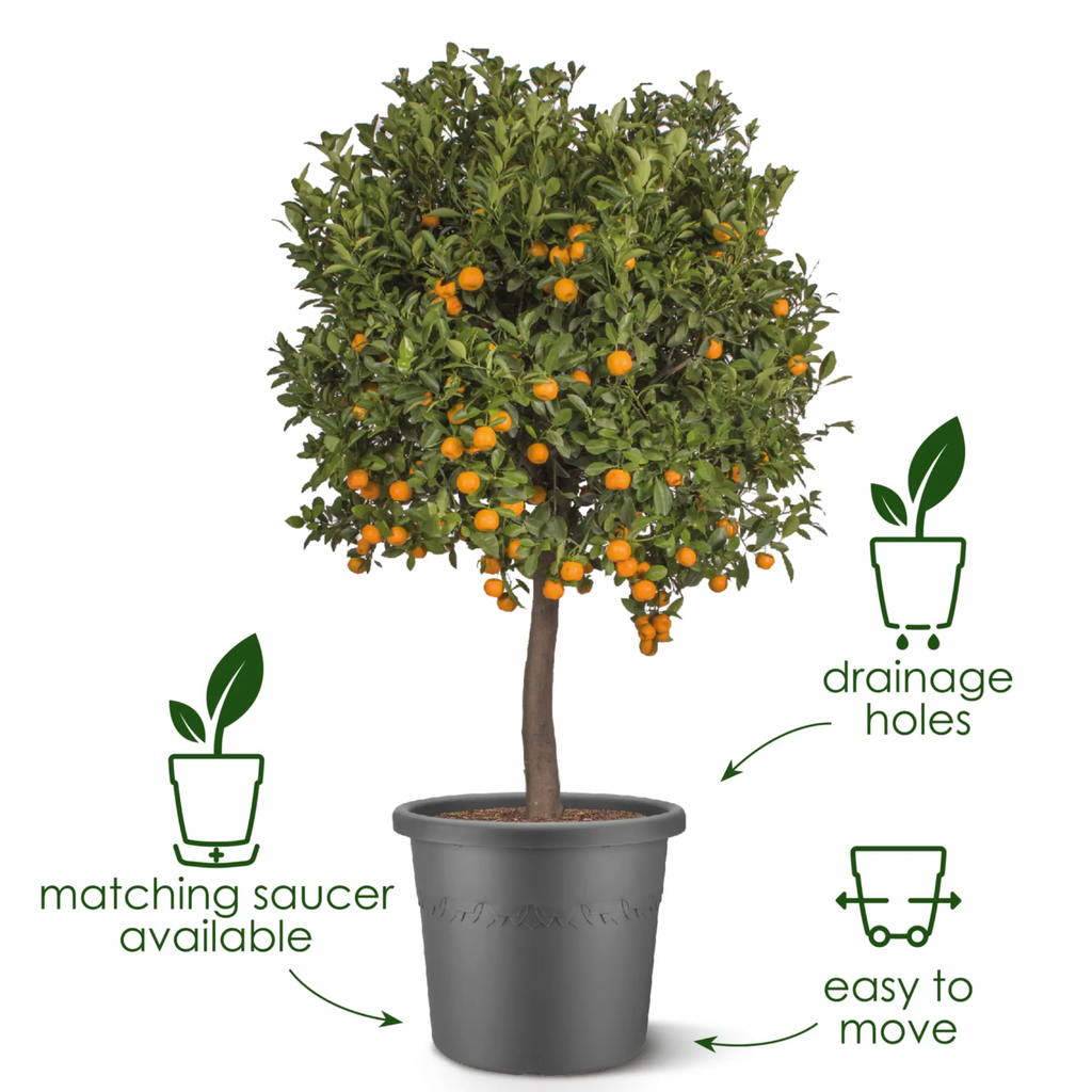Algarve Cilindro 30cm in anthracite