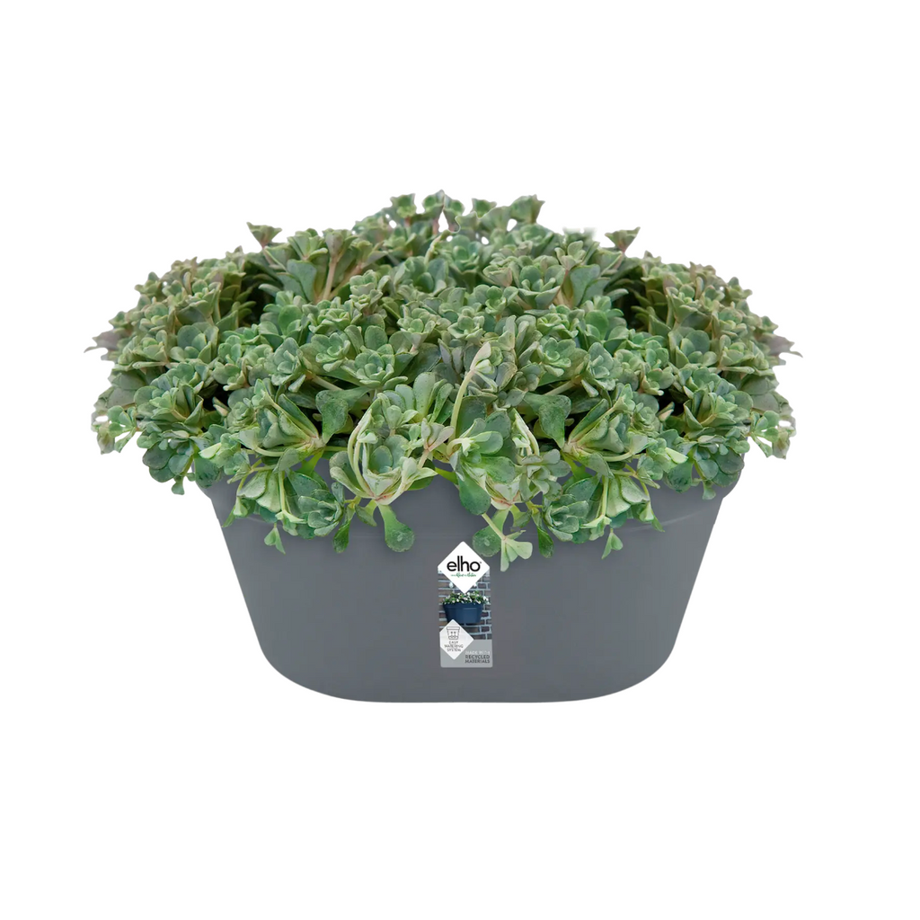 Loft Urban Wall Basket 40 in anthracite