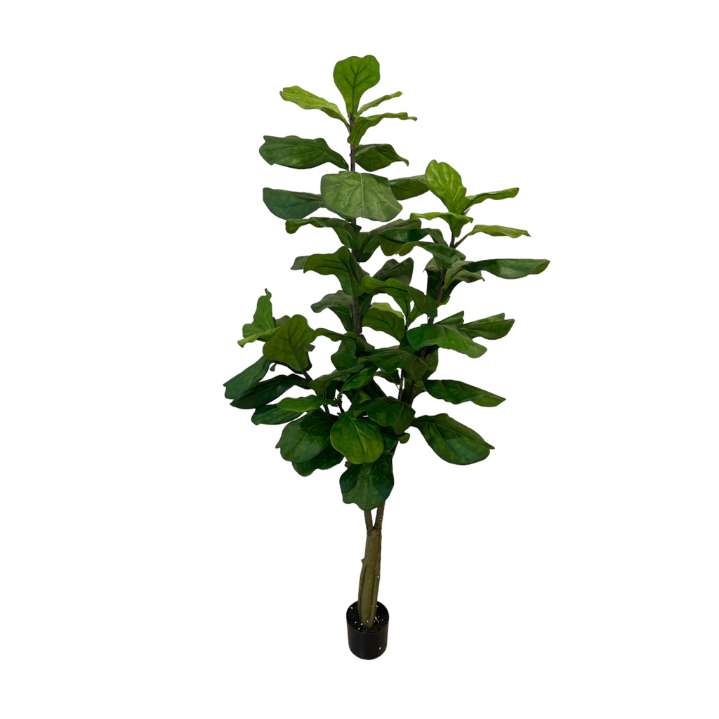 Artificial Fiddle Tree (1.82m/ 6ft)