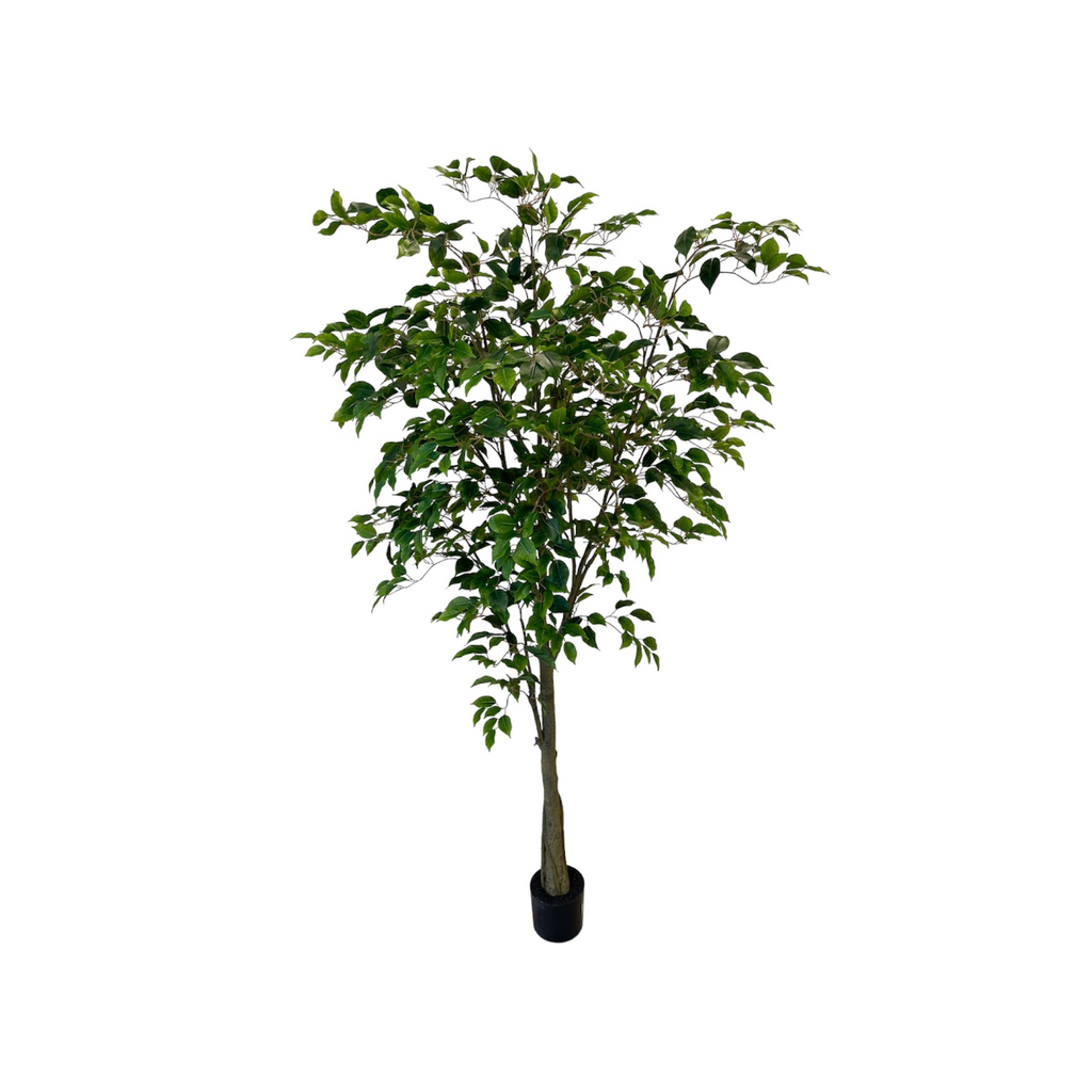 Artificial Ficus Tree (2.13m/ 7ft)