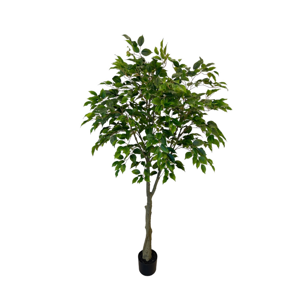 Artificial Ficus Tree (1.52m/ 5ft)