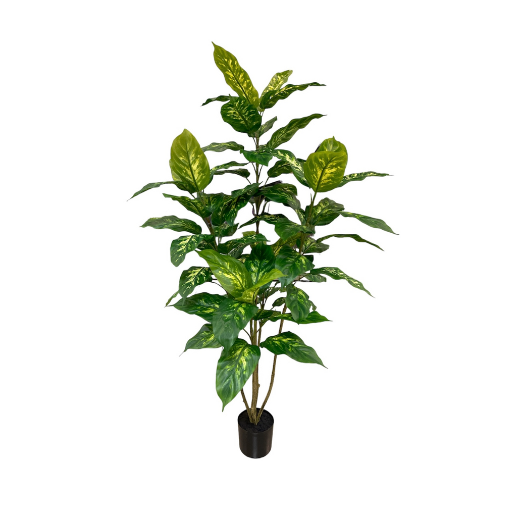 Artificial Dieffenbachia Plant (1.22m/ 4ft)