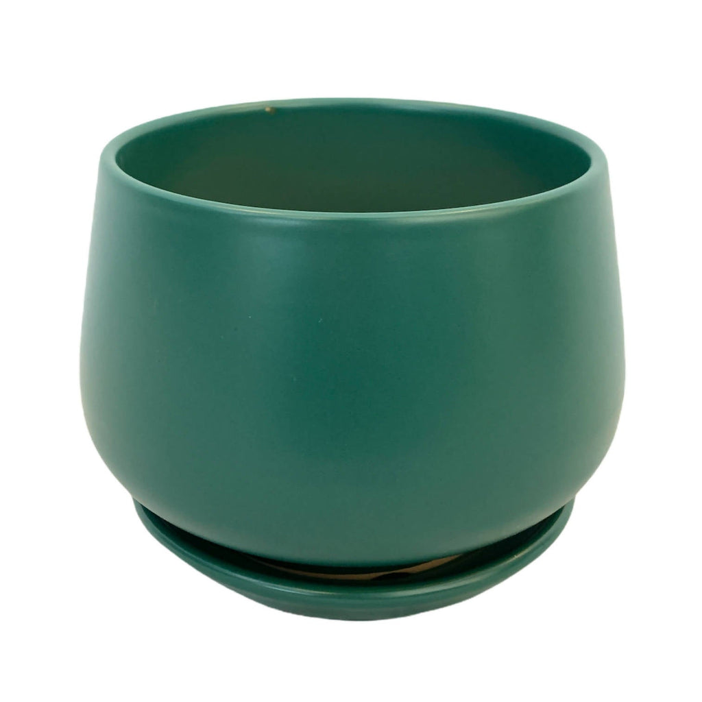 [As-Is] Dark Green Matte Ceramic Pot
