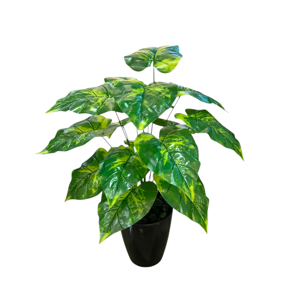Artificial Money Plant in Melanie Pot (0.75mH)