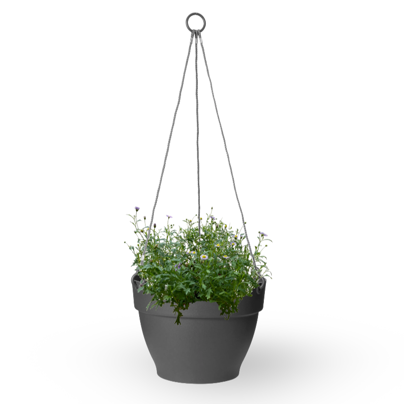 Blue Aster in Anthracite Vibia Campana Hanging Basket