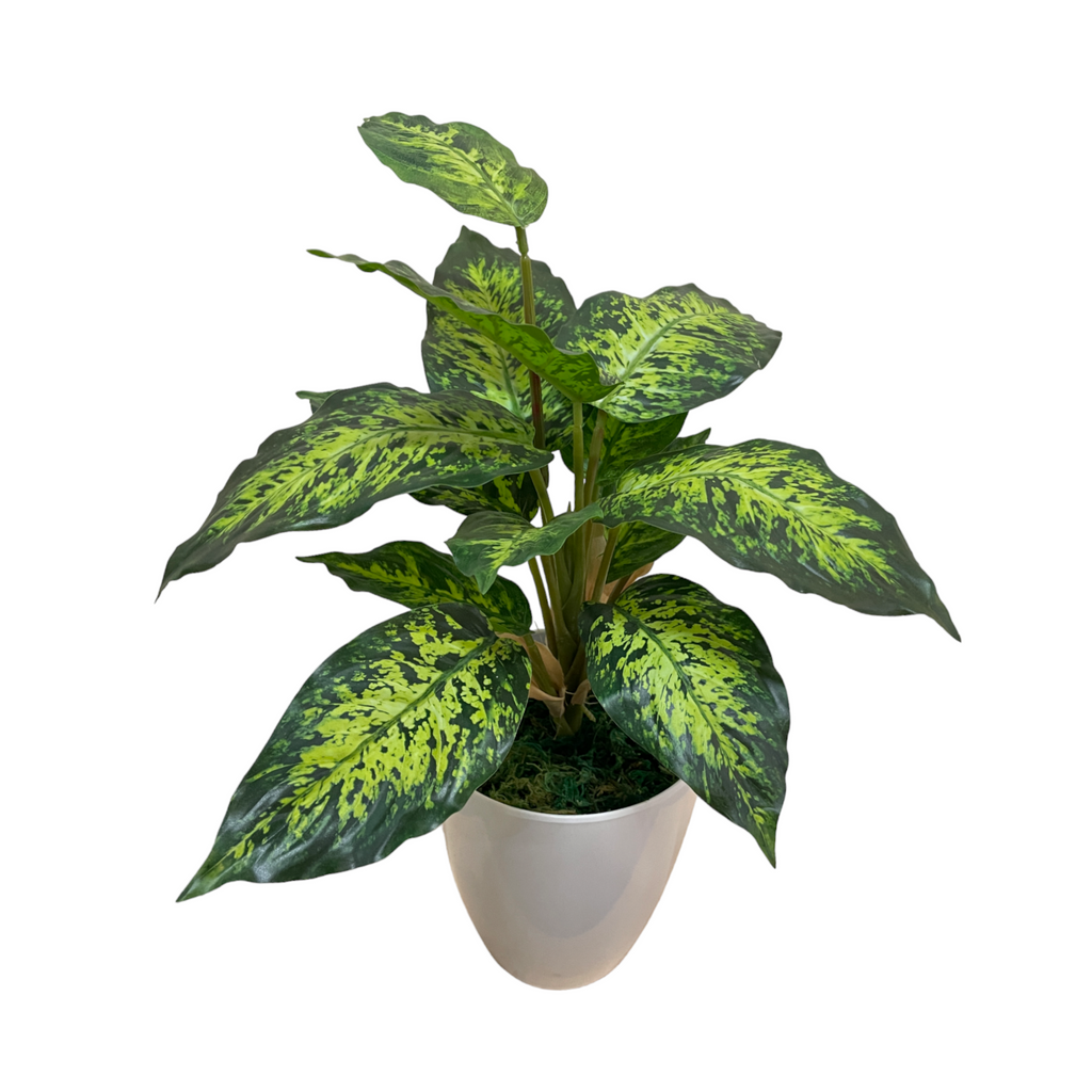 Artificial Dieffenbachia Sublime in Pot (0.4m)