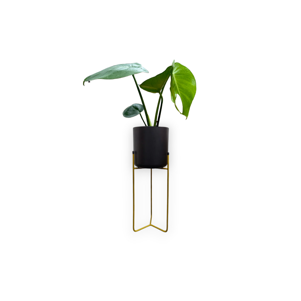 Belen Planter