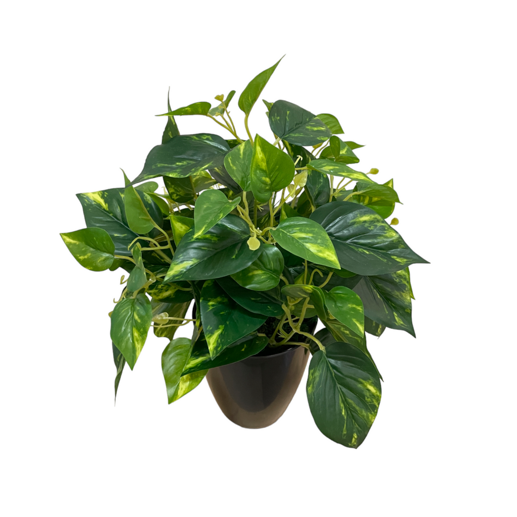 Artificial Money Plant in Pot (0.4m)