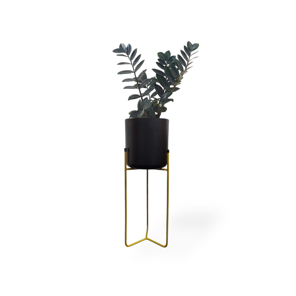 Belen Planter