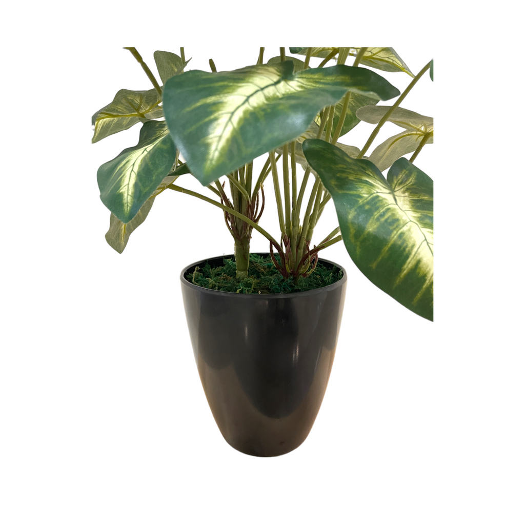 Artificial Syngonium in Pot (0.4m)
