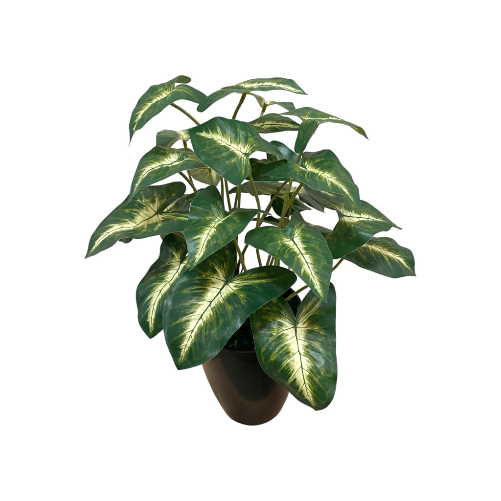 Artificial Syngonium in Pot (0.4m)