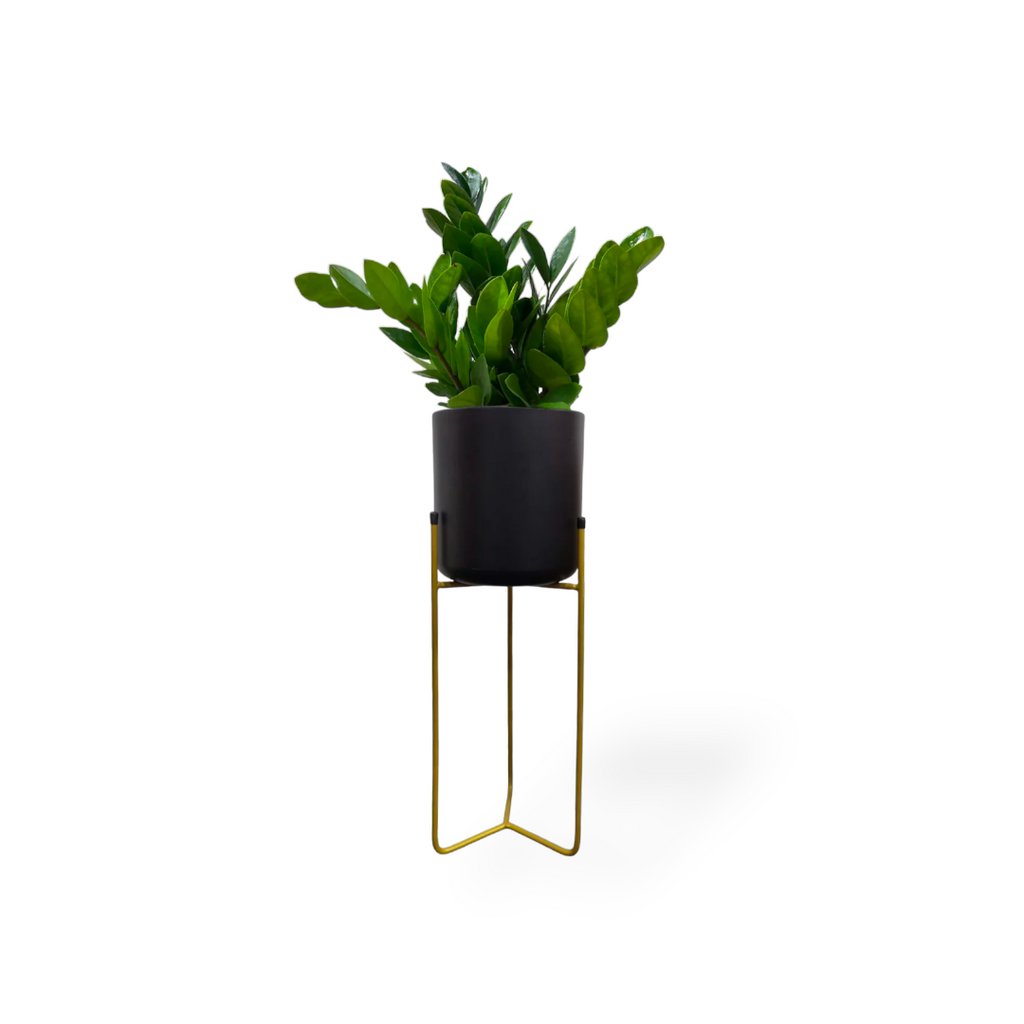 Belen Planter