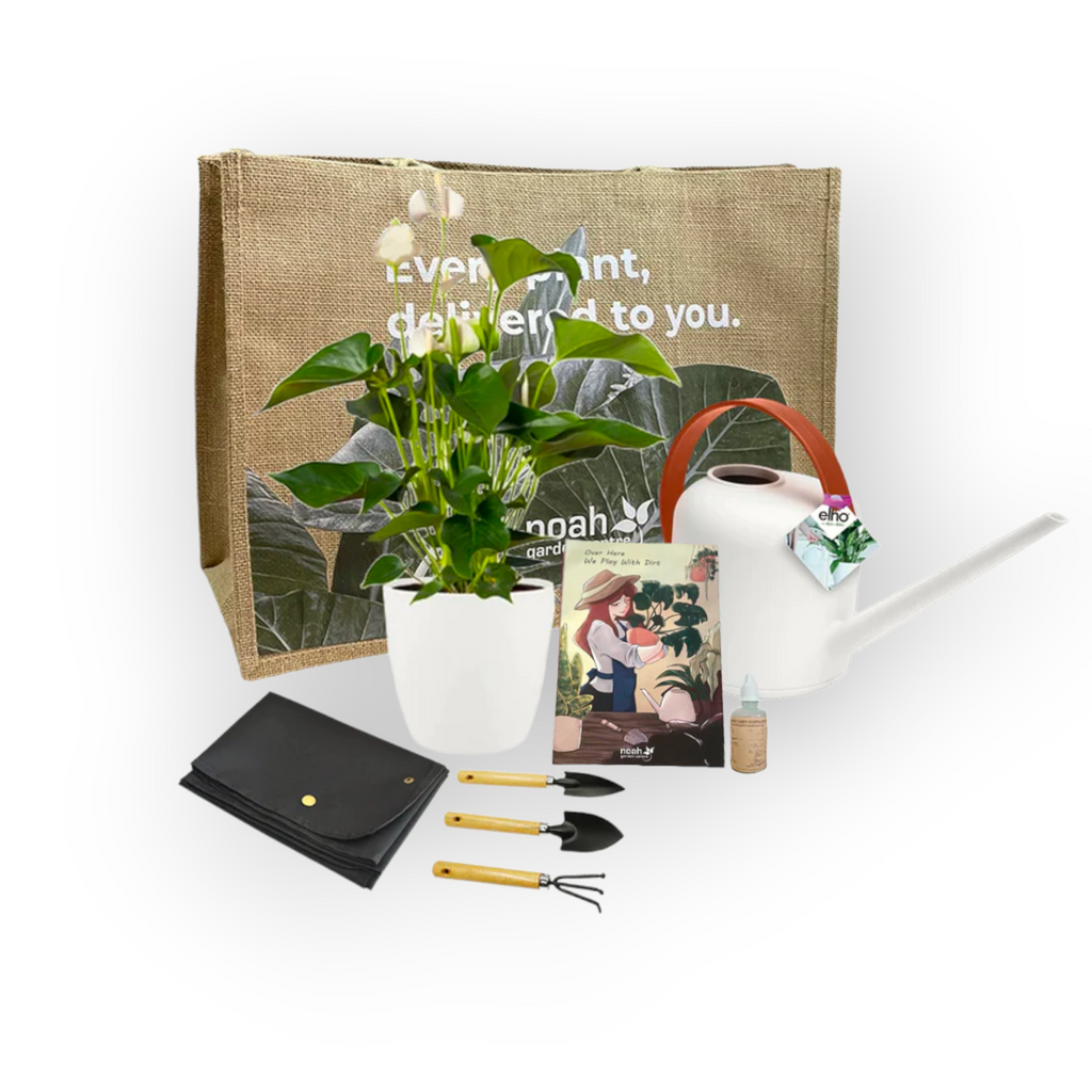 Gardener's Essential Gift Set