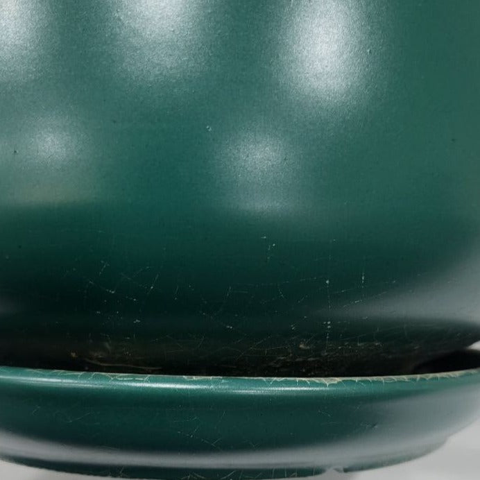 [As-Is] Dark Green Matte Ceramic Pot