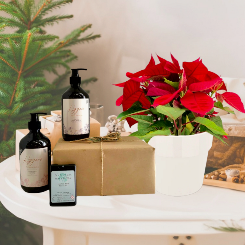 Poinsettia with Personal Care Gift Set