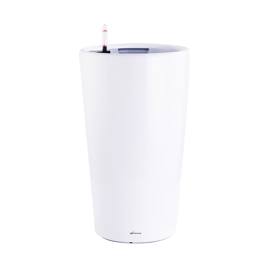 Schefflera Tree in White High Cylinder Series 39.5cm (1.3m)