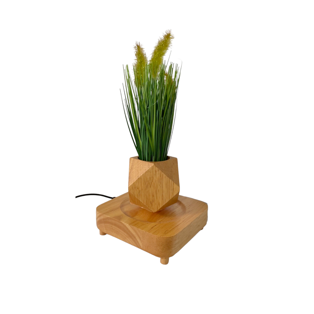 [AS-IS] Levitating Magnet Wooden Plant Pot