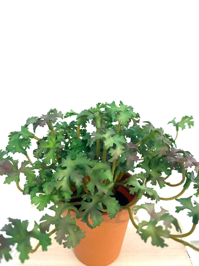 Artificial Potted Parsley (0.15m)