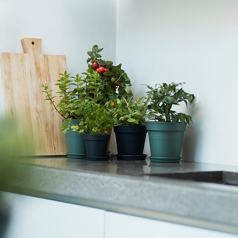 Green Basics Growpot 30cm in Living Black with 25cm Saucer