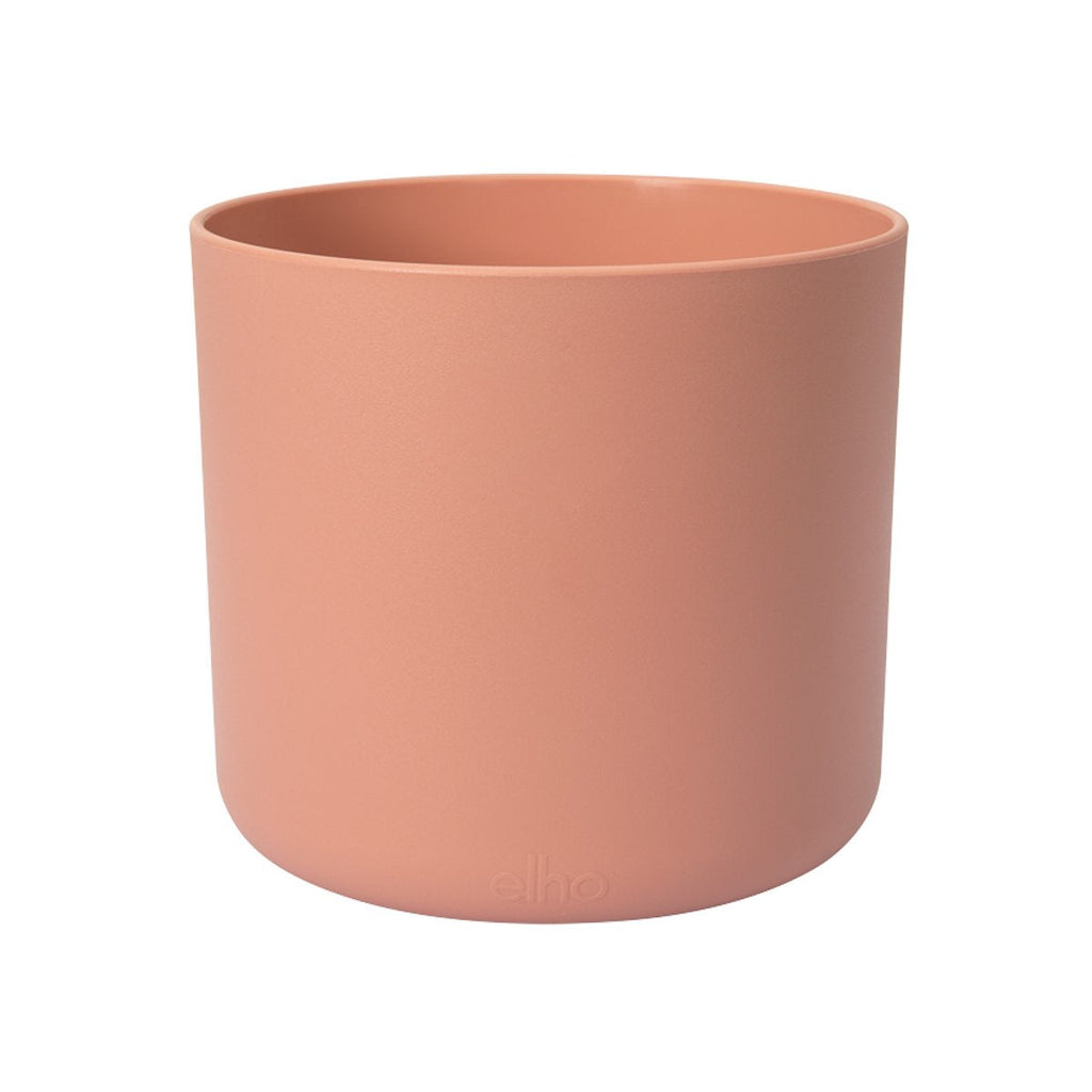 ZZ plant in Delicate Pink B for Soft Round 14cm (0.4m)