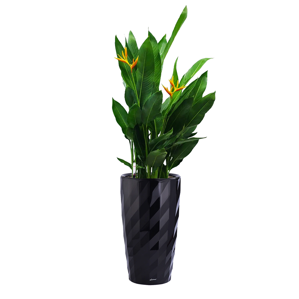 Diamond Facet Surface 40cm Black with Heliconia