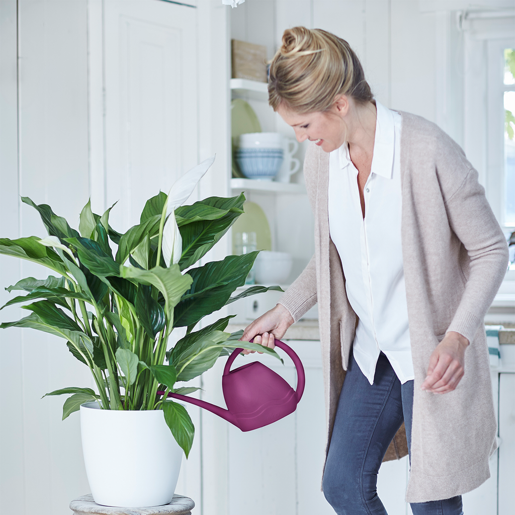 Aquarius Watering Can 3.5ltr in anthracite