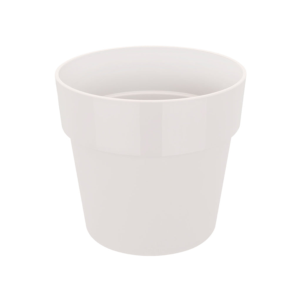 Bird Nest Fern in White B for Original Round 9cm (0.15m)
