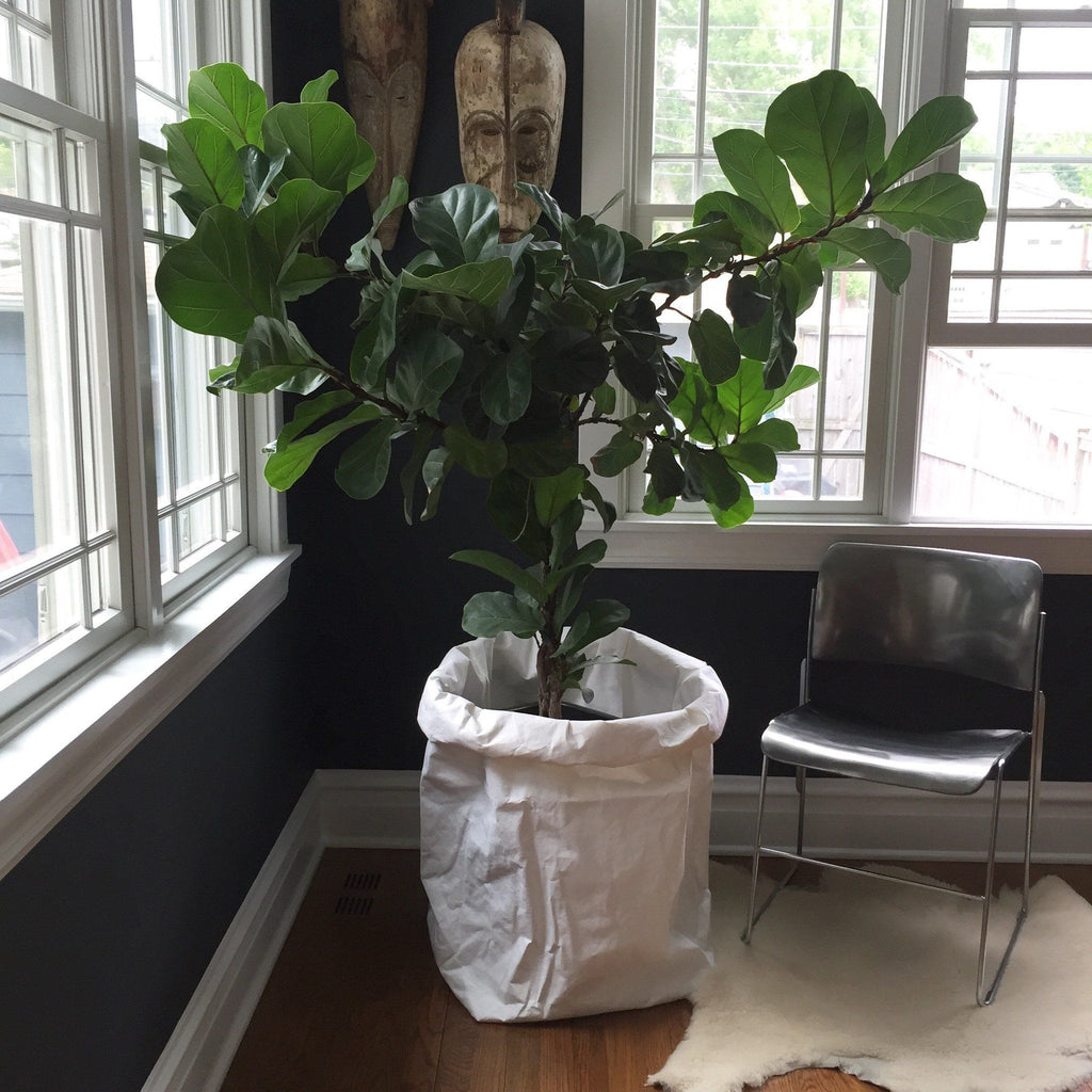 Uashmama, Paper Bag Gigante in Cuoio