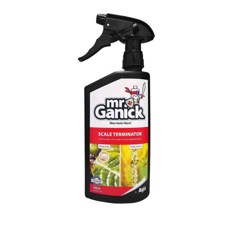 Mr Ganick Scale Terminator by Baba, Natural Pesticide (500ml)