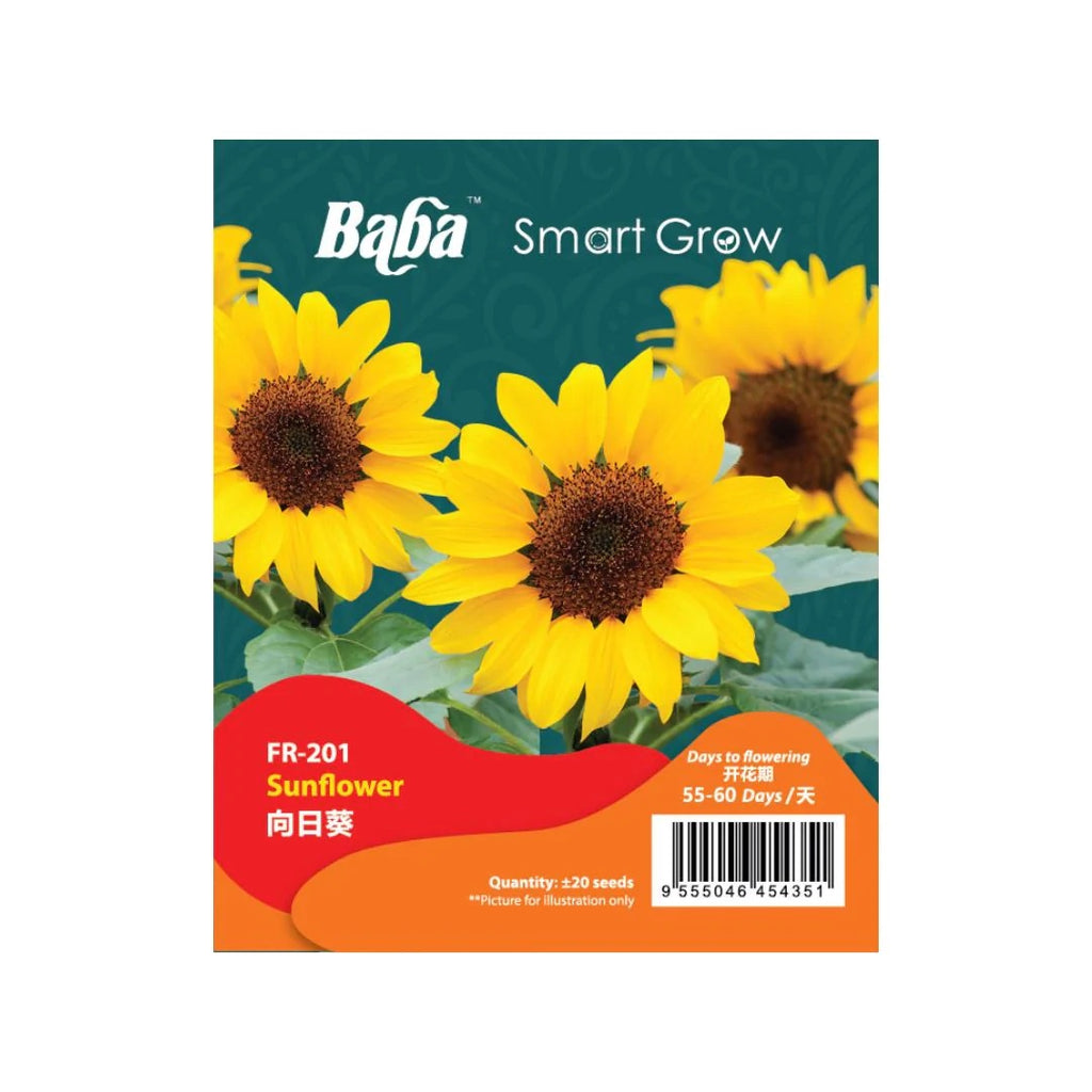 BABA Seed FR-201 Sunflower