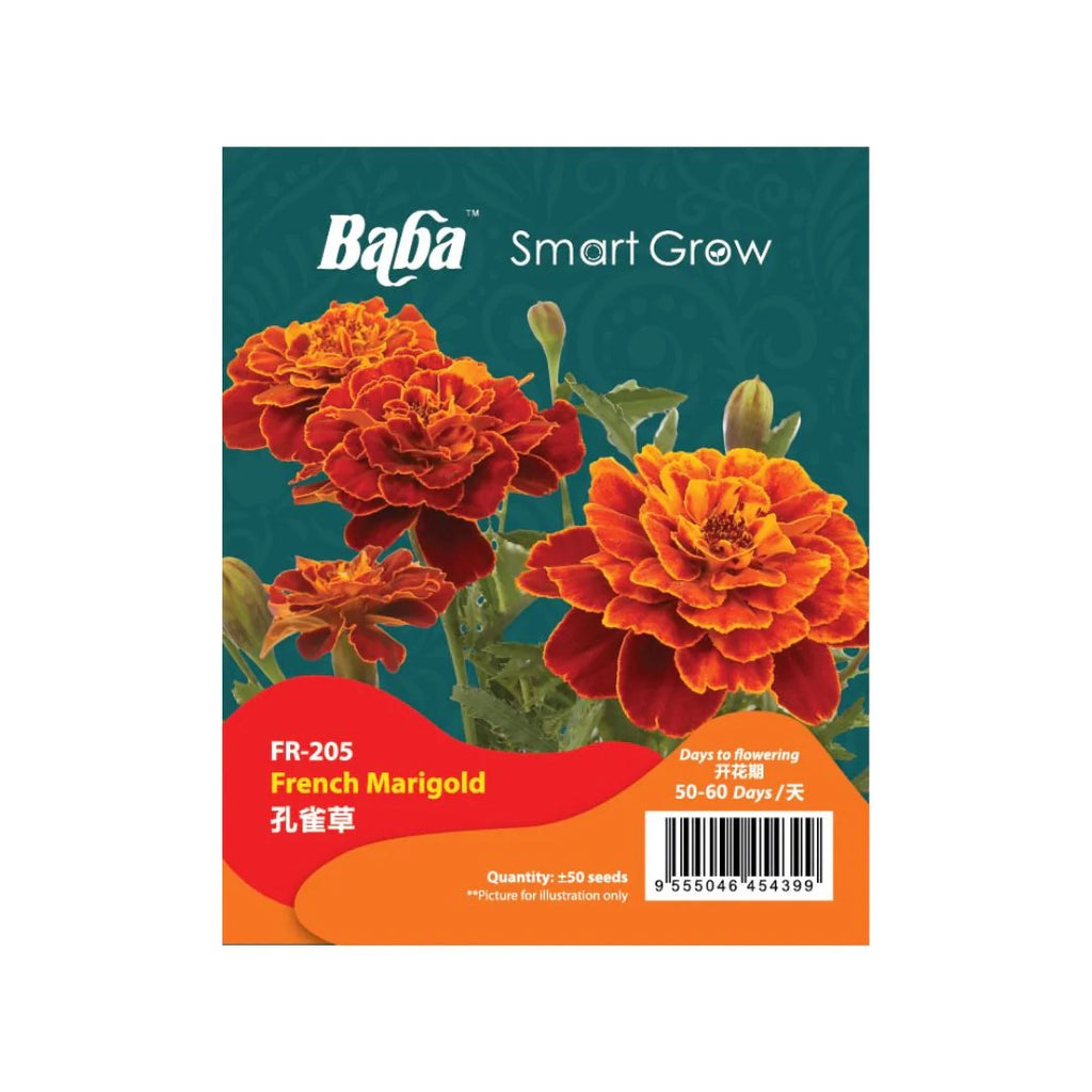 BABA Seed FR-205 French Marigold