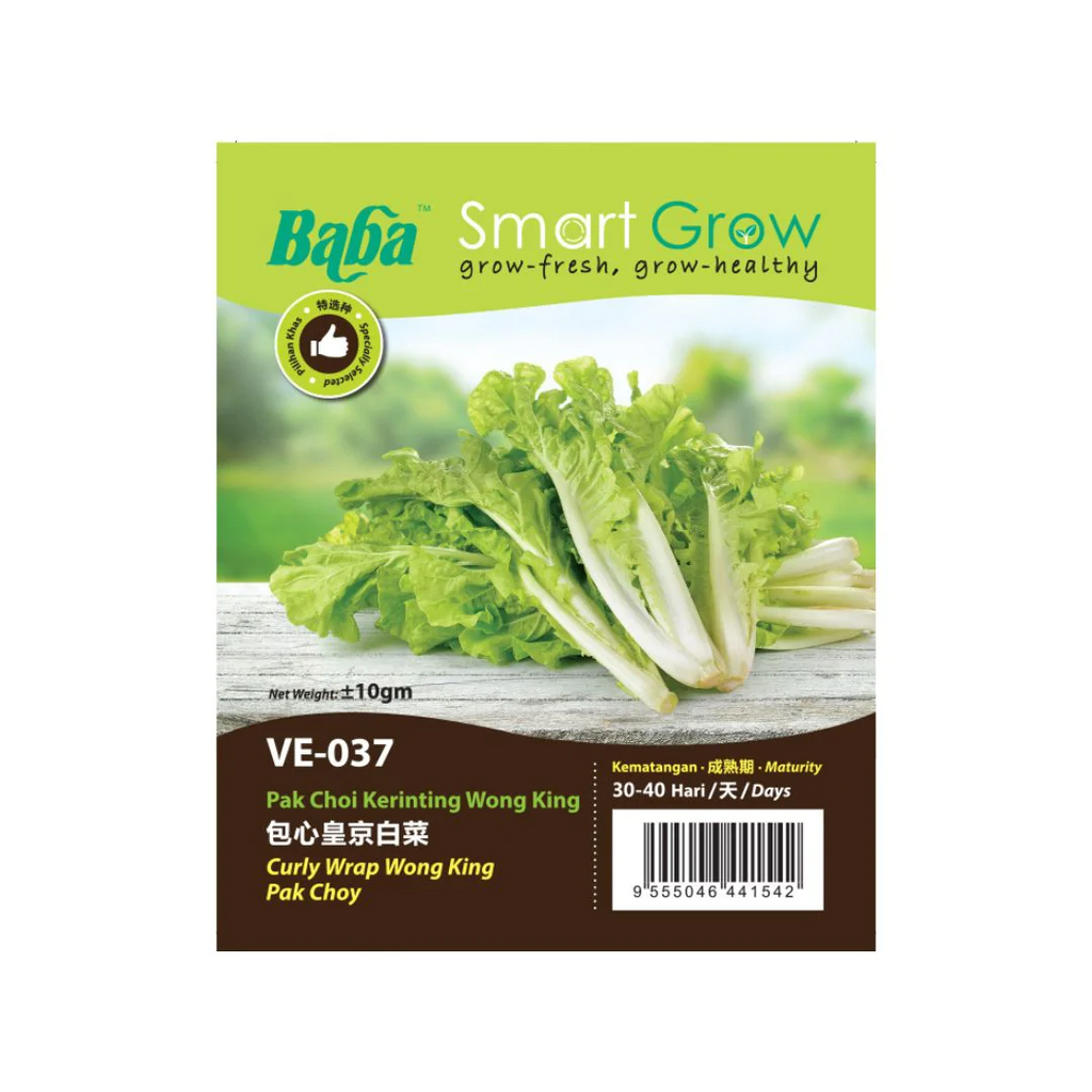 BABA Seed VE-037 Curry Wrap Wong King Pak Choy