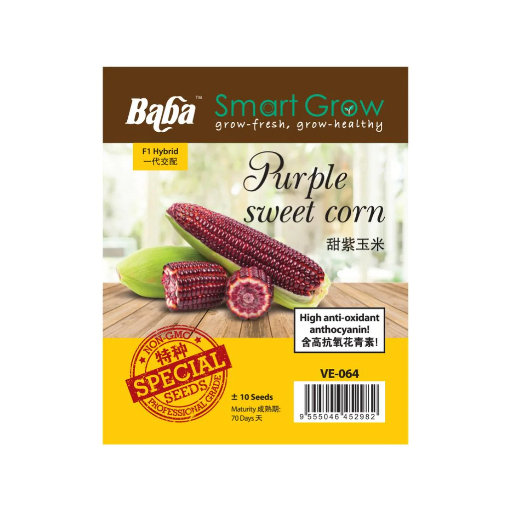 BABA Seed VE-064 F1 Purple Sweet Com