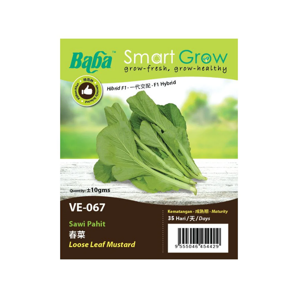 BABA Seed VE-067 Loose Leaf Mustard