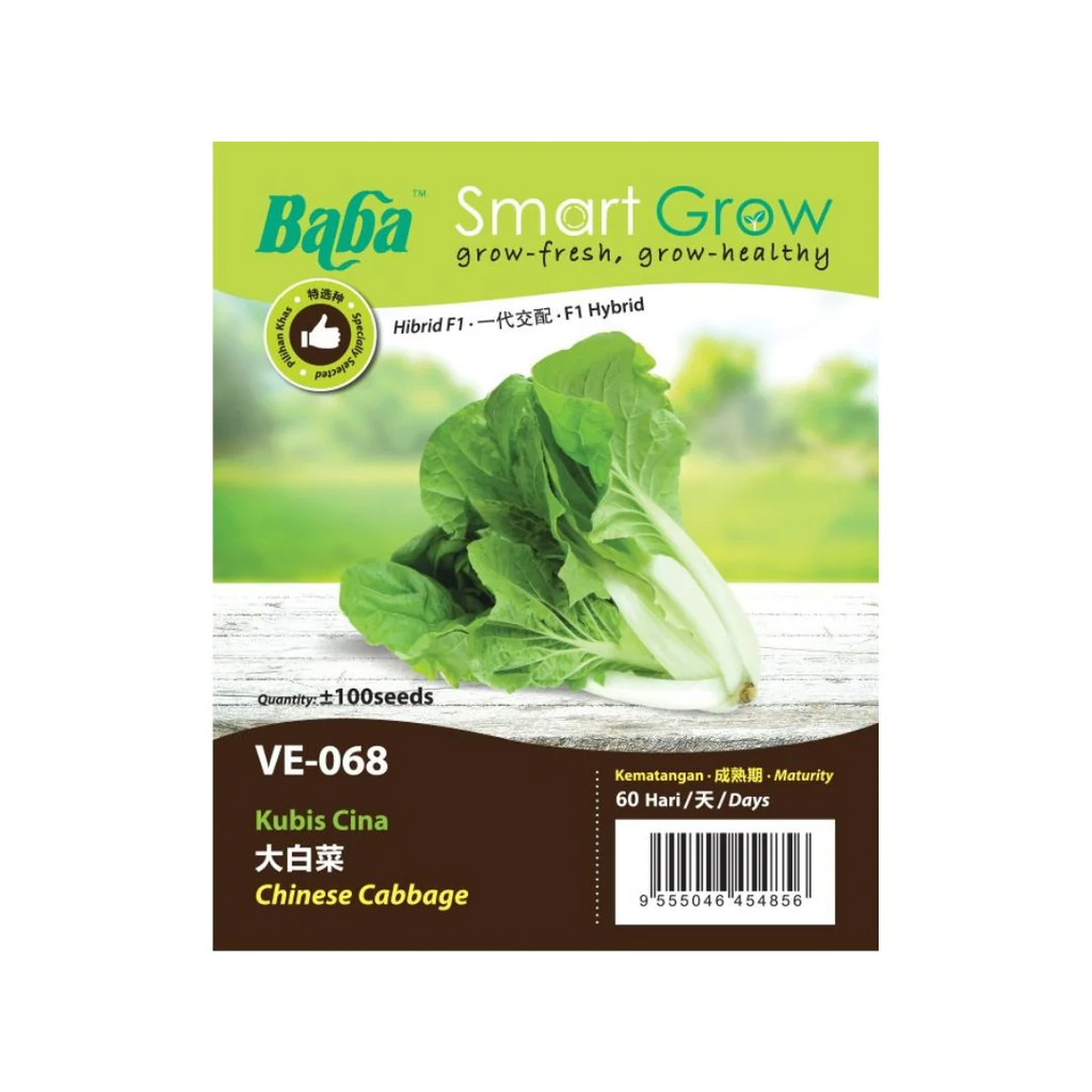 BABA Seed VE-068 F1 Chinese Cabbage