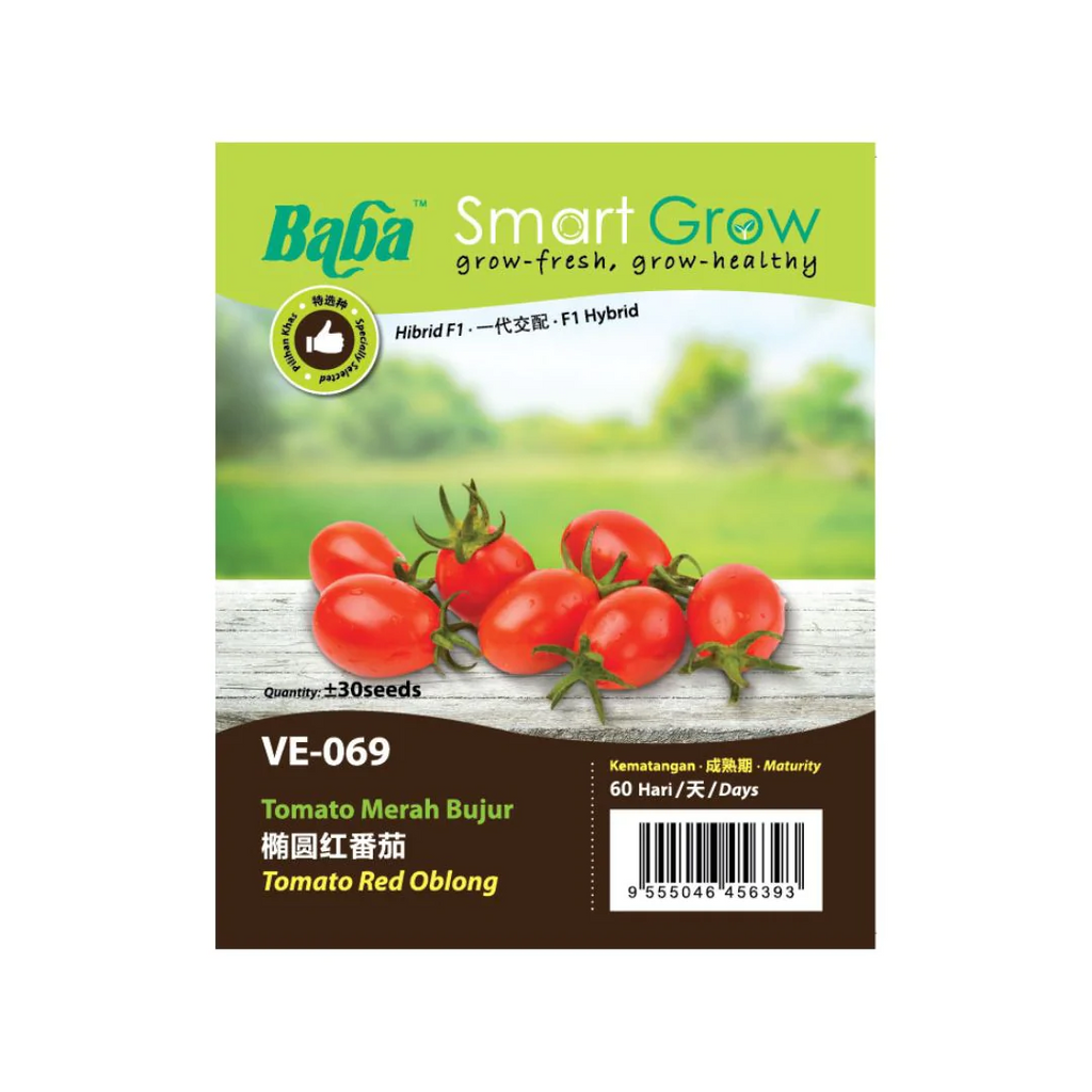 BABA Seed VE-069 F1 Tomato Red Oblong