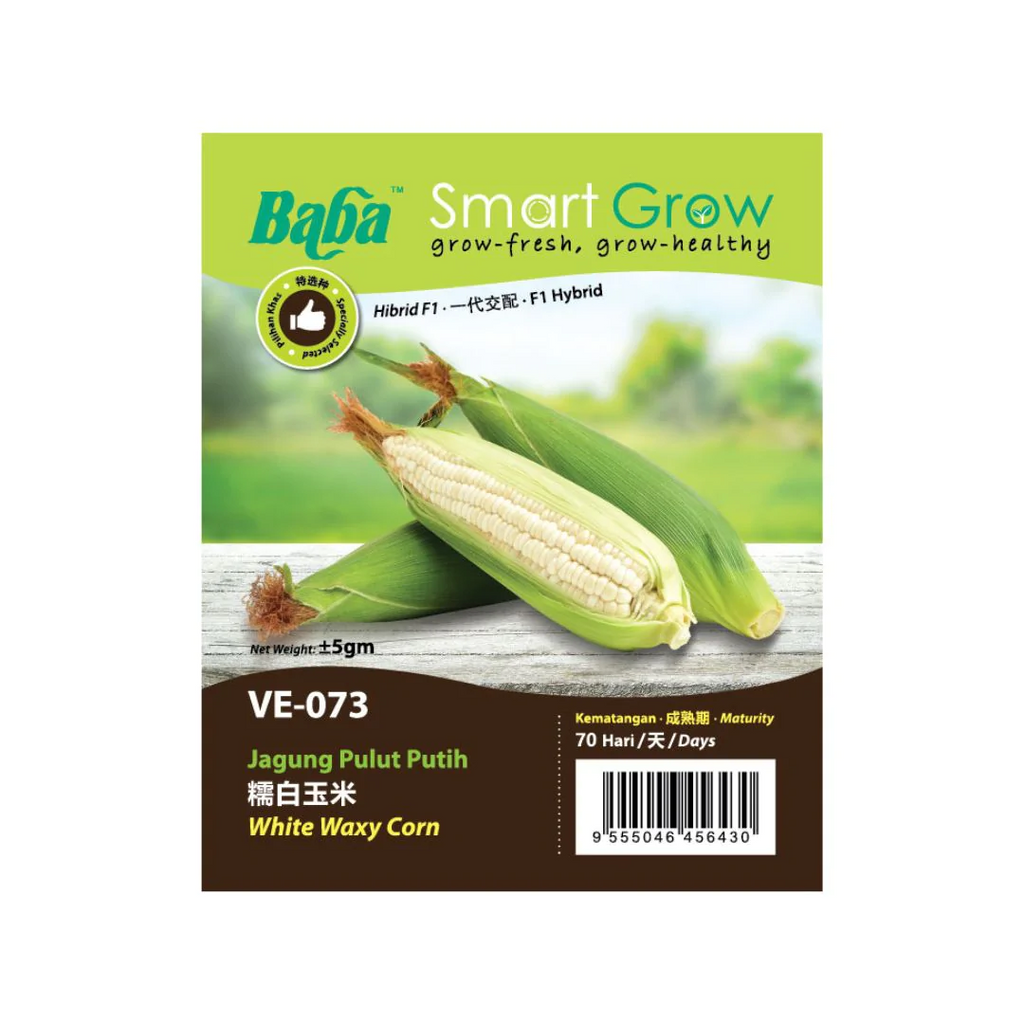 BABA Seed VE-073 F1 White waxy Corn