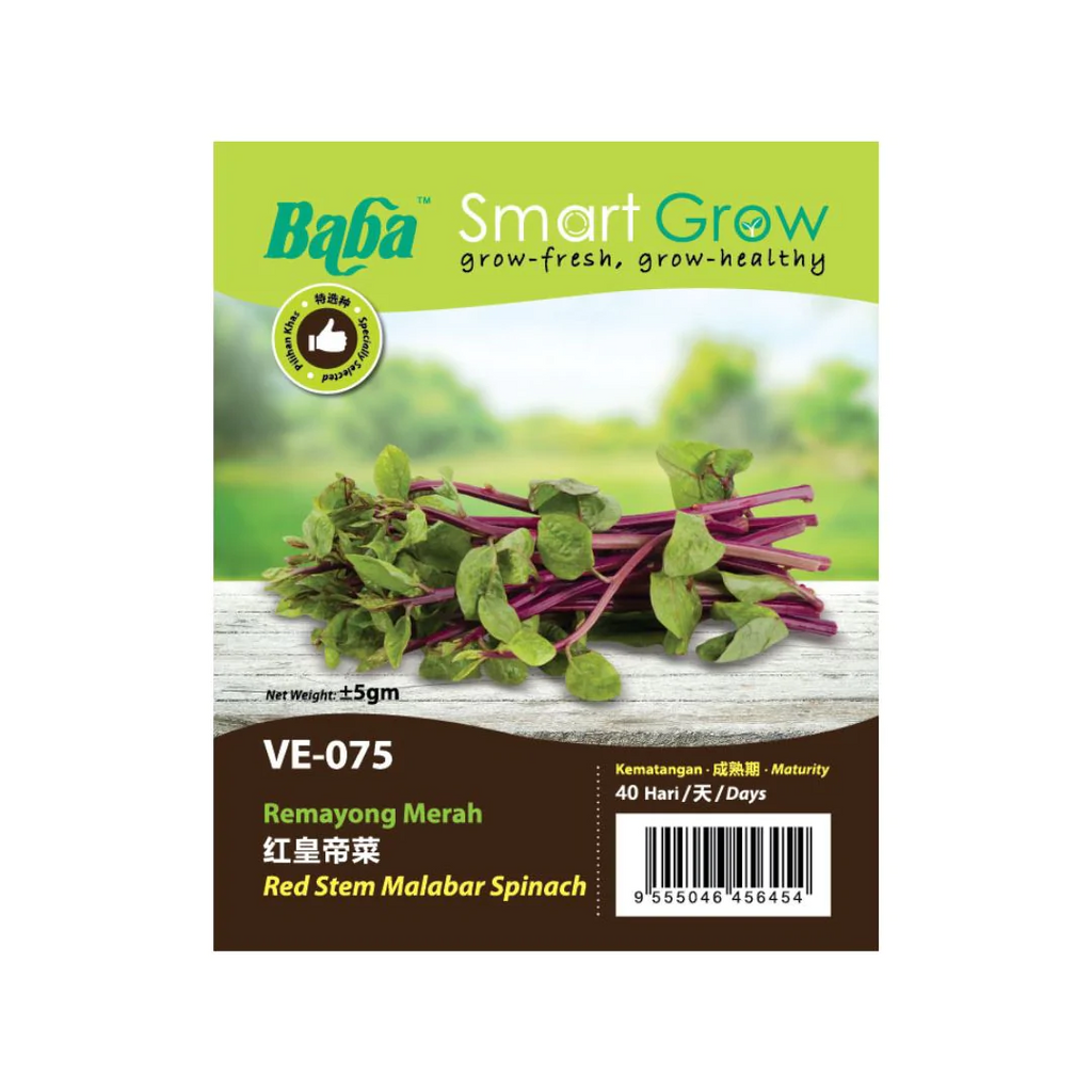 BABA Seed VE-075 Red Stem Malabar Spinach