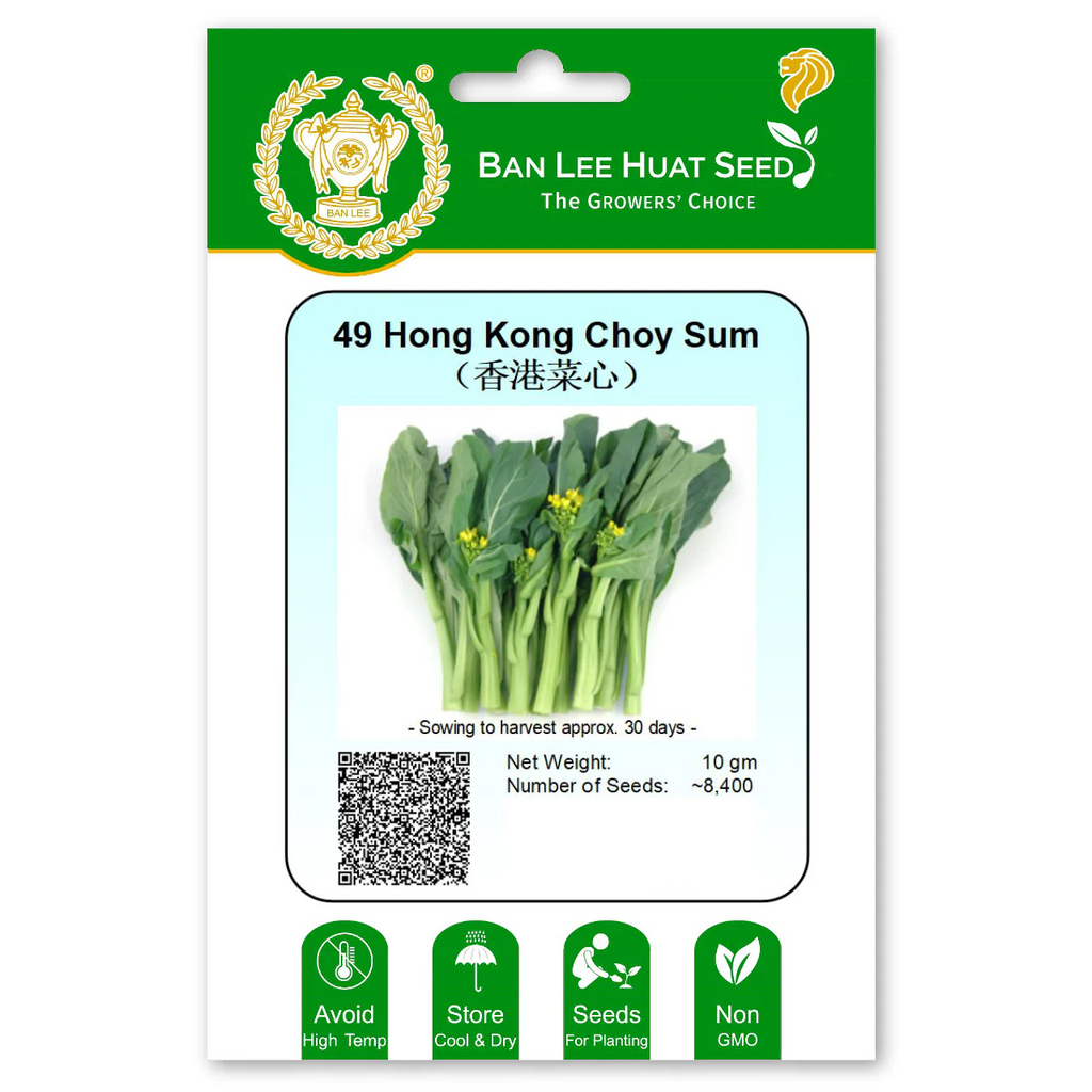 BAN LEE HUAT Seed HA05 49 Hong Kong Choy Sum