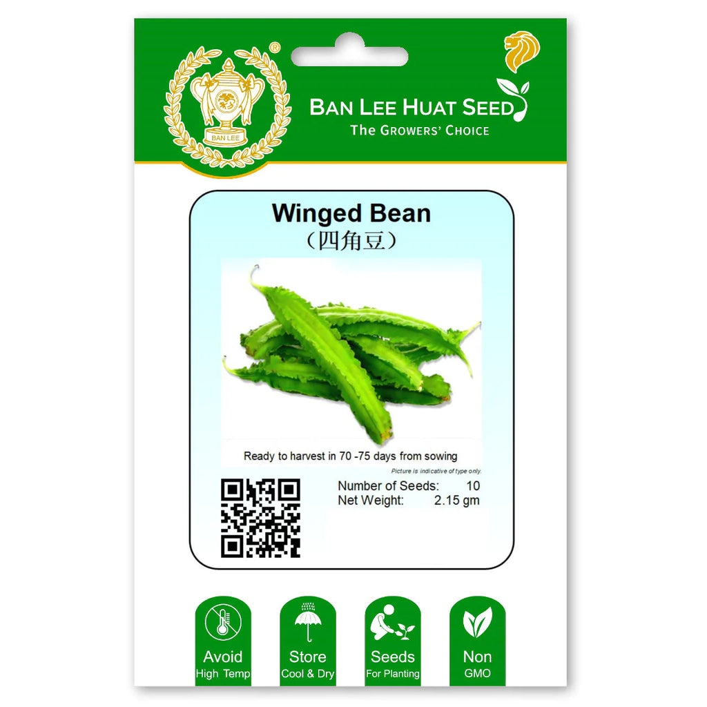 BAN LEE HUAT Seed HB05 Winged Bean (Goa Bean)