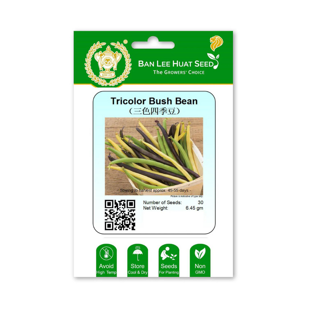 BAN LEE HUAT Seed HB12 Tricolor Bush Bean
